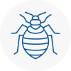 Bed Bug Extermination In Palmers Green