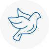 Bird Prevention Palmers Green