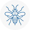 Palmers Green Hornet Nest Removals