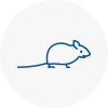 Mice Exterminators In Palmers Green
