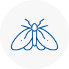 Moth Control Specialists In Palmers Green
