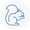 Palmers Green Rodent Removals