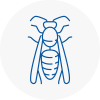 Palmers Green Wasp Nest Removal